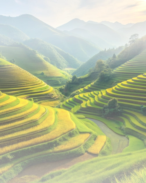 PANORAMAS D’UNE GÉOGRAPHIE TROPICALE SPECTACULAIRE